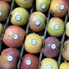 Машина для наклеивания этикеток на яблоки